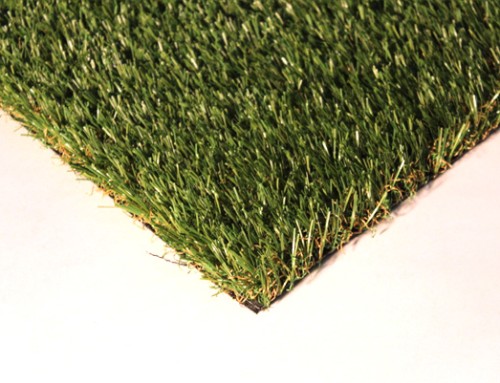 Kent – Fringe Grass